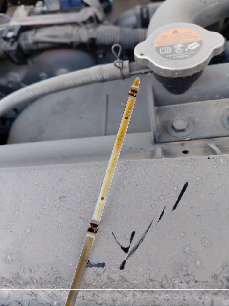 Nissan XTERRA 4WD 2023 image