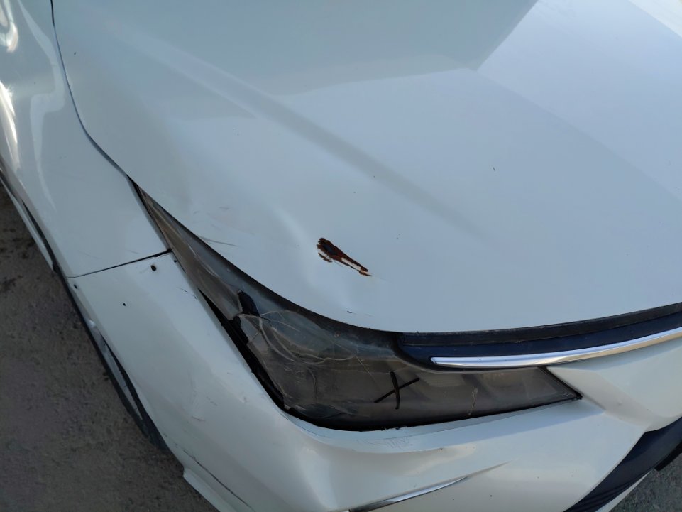 Toyota Corolla XLI EXECUTIVE 2021 image