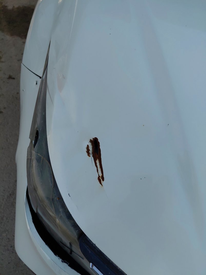 Toyota Corolla XLI EXECUTIVE 2021 image