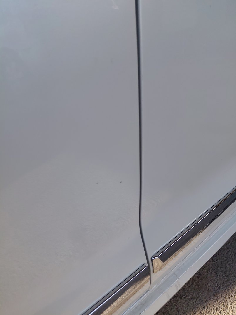 Toyota Corolla XLI EXECUTIVE 2021 image