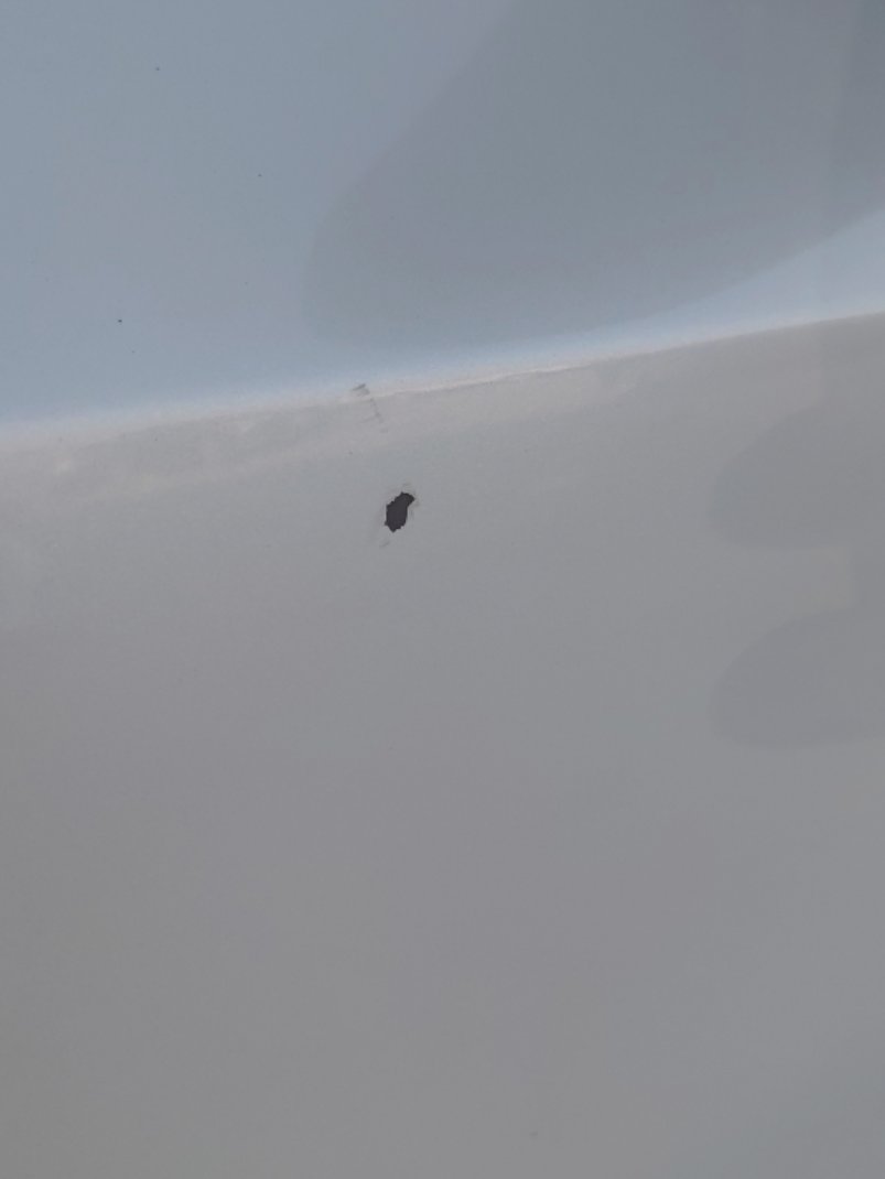 Toyota Corolla XLI EXECUTIVE 2021 image