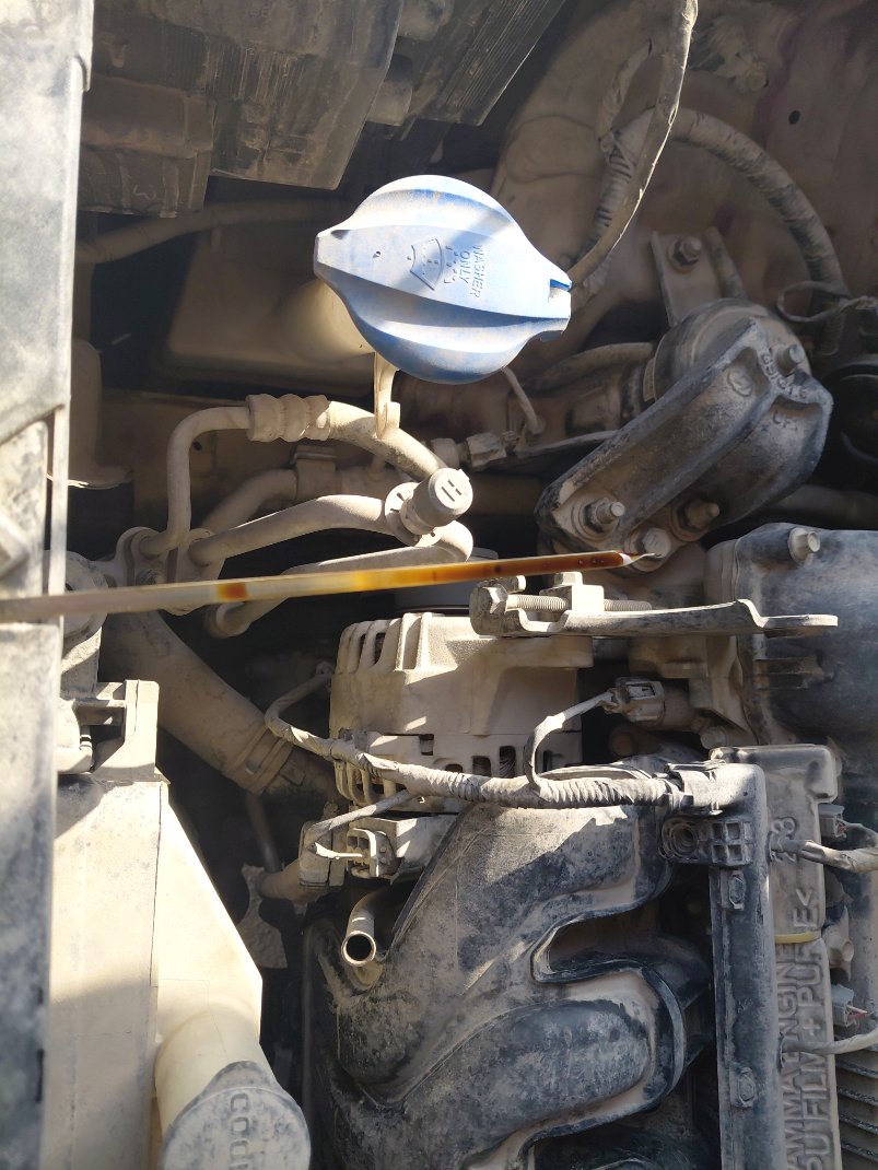 KIA Seltos EX Sports  2021 image