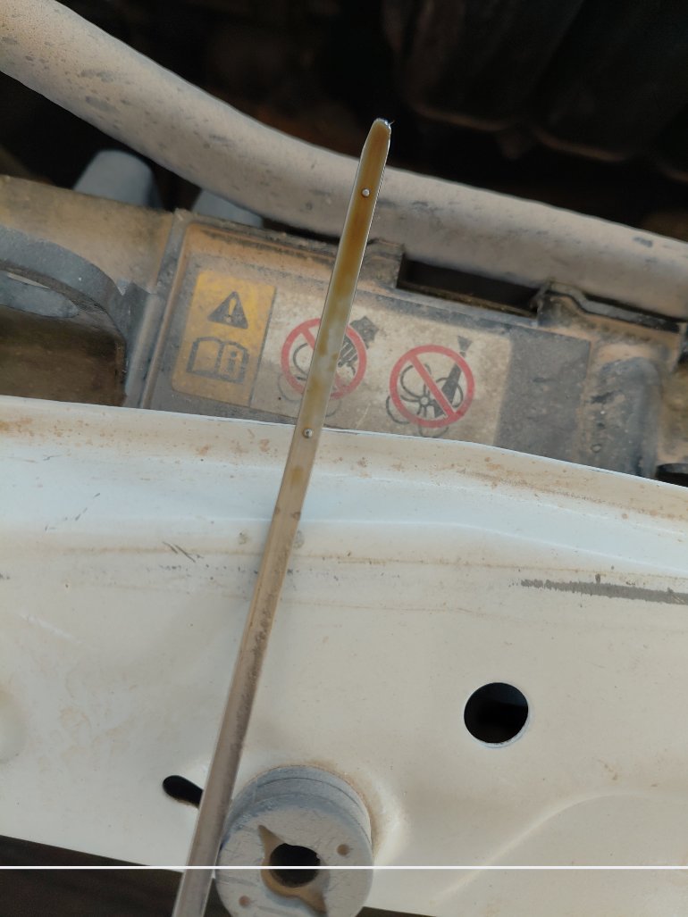 Toyota Corolla XLI 2019 image