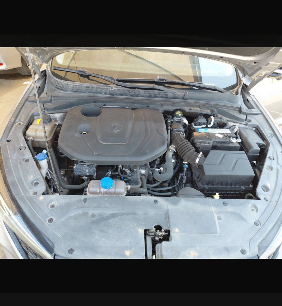 شانجان ايدو    بلس ليميتد رياضية  2023 image