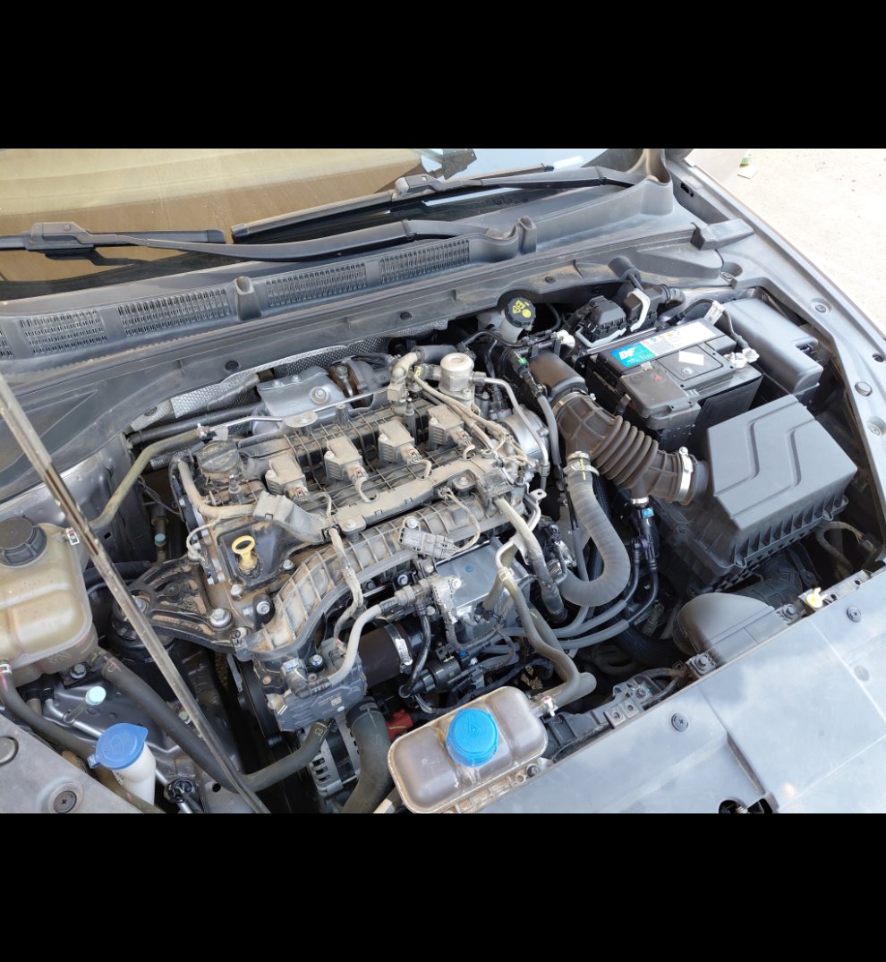 شانجان ايدو    بلس ليميتد رياضية  2023 image