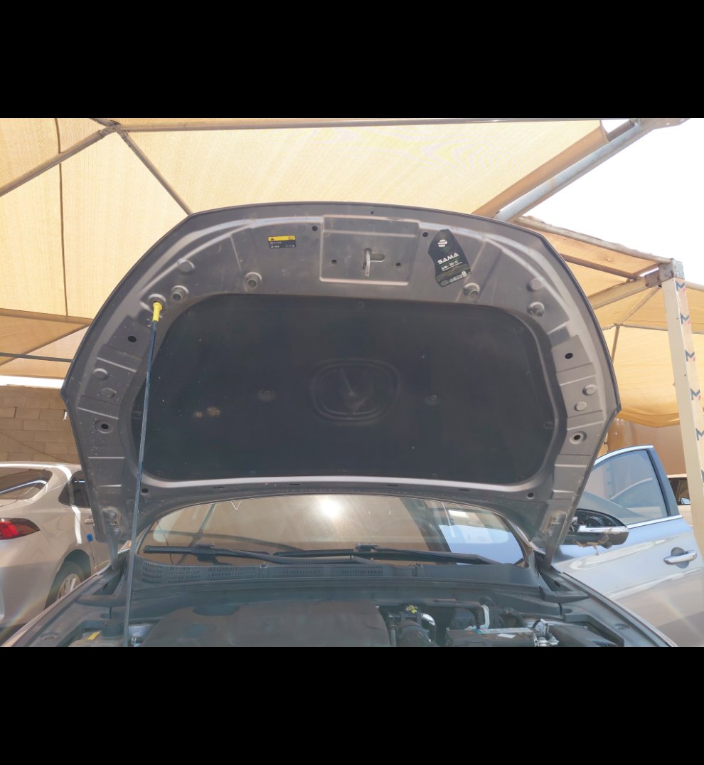 شانجان ايدو    بلس ليميتد رياضية  2023 image