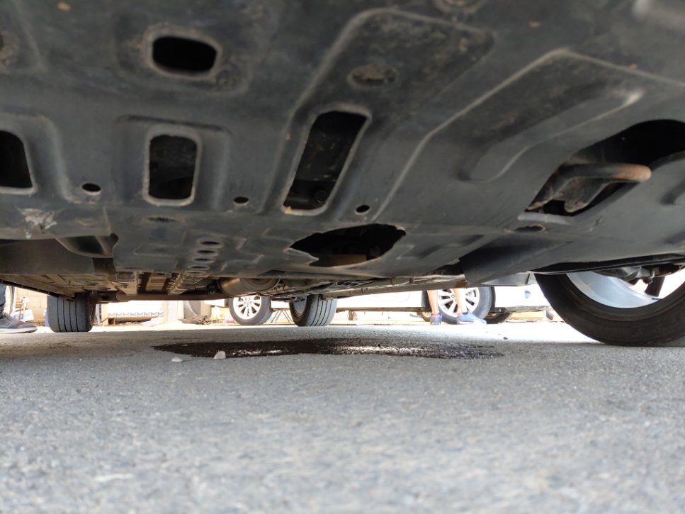 شانجان ايدو    بلس ليميتد رياضية  2023 image