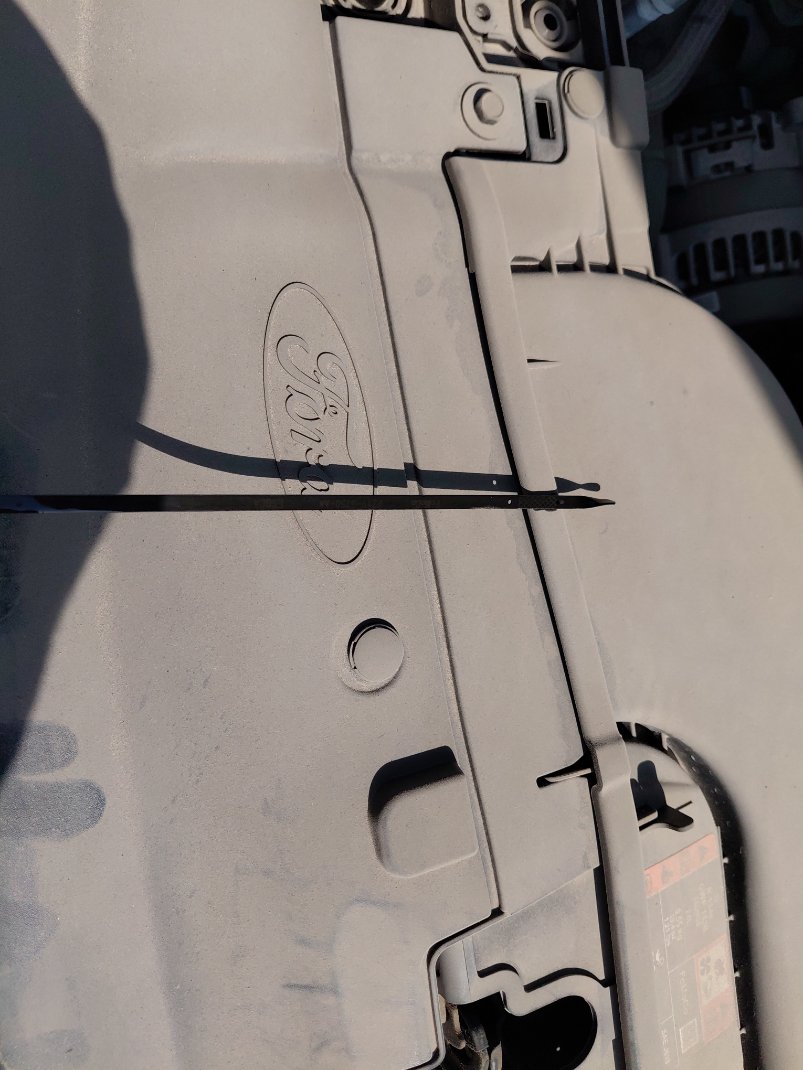 Ford Taurus Ambiente 2024 image