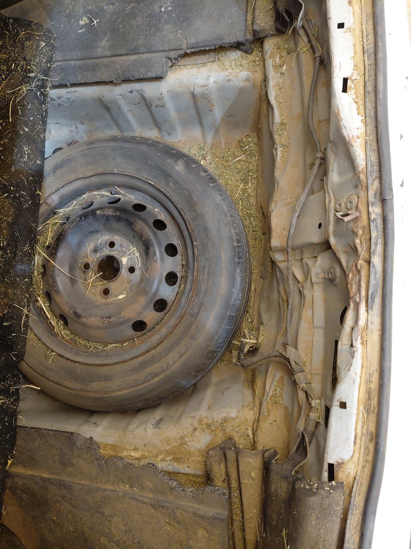 Toyota Yaris SD Y 2020 image