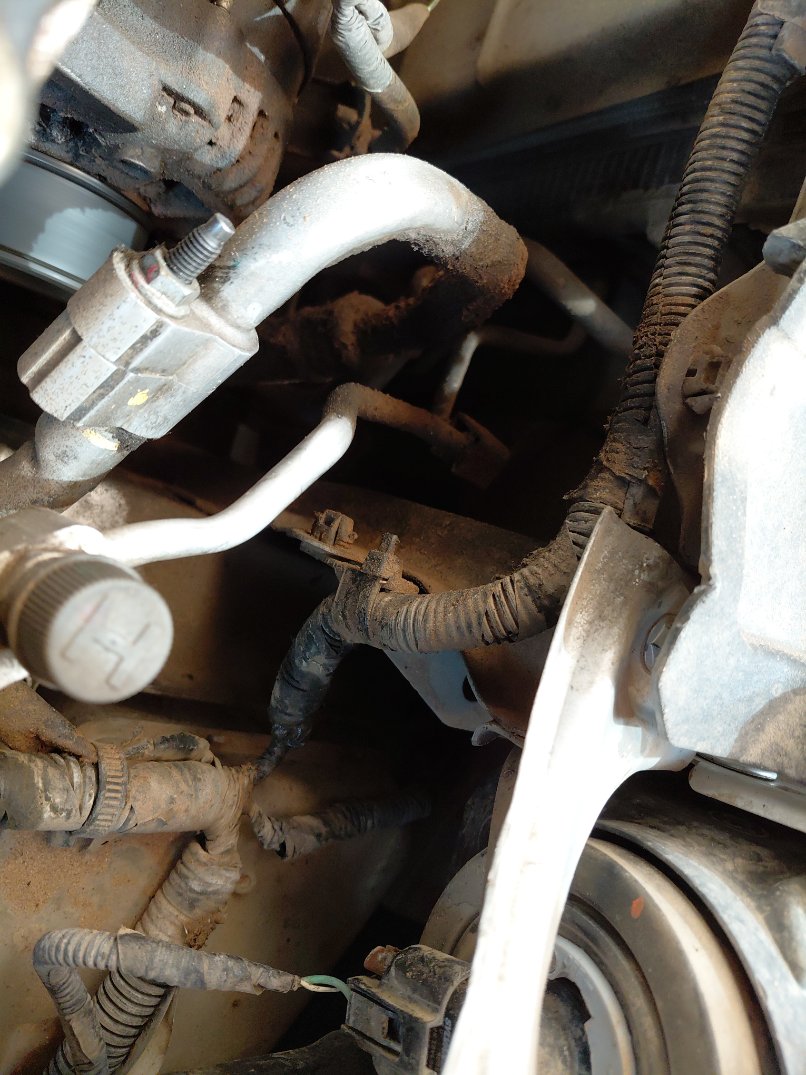 Toyota Yaris SD Y PLUS  2019 image