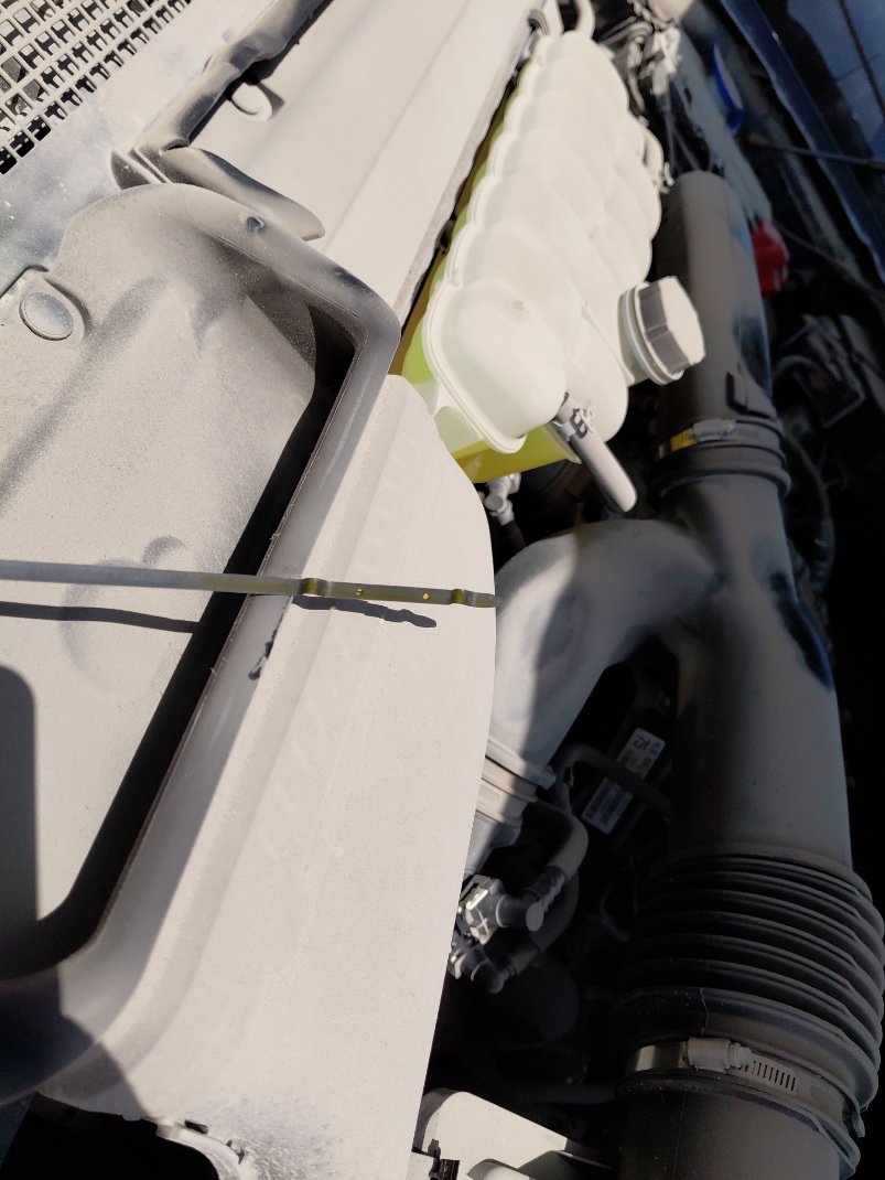 فورد إكسبيديشن Eco.XLT 4X2 2023 image