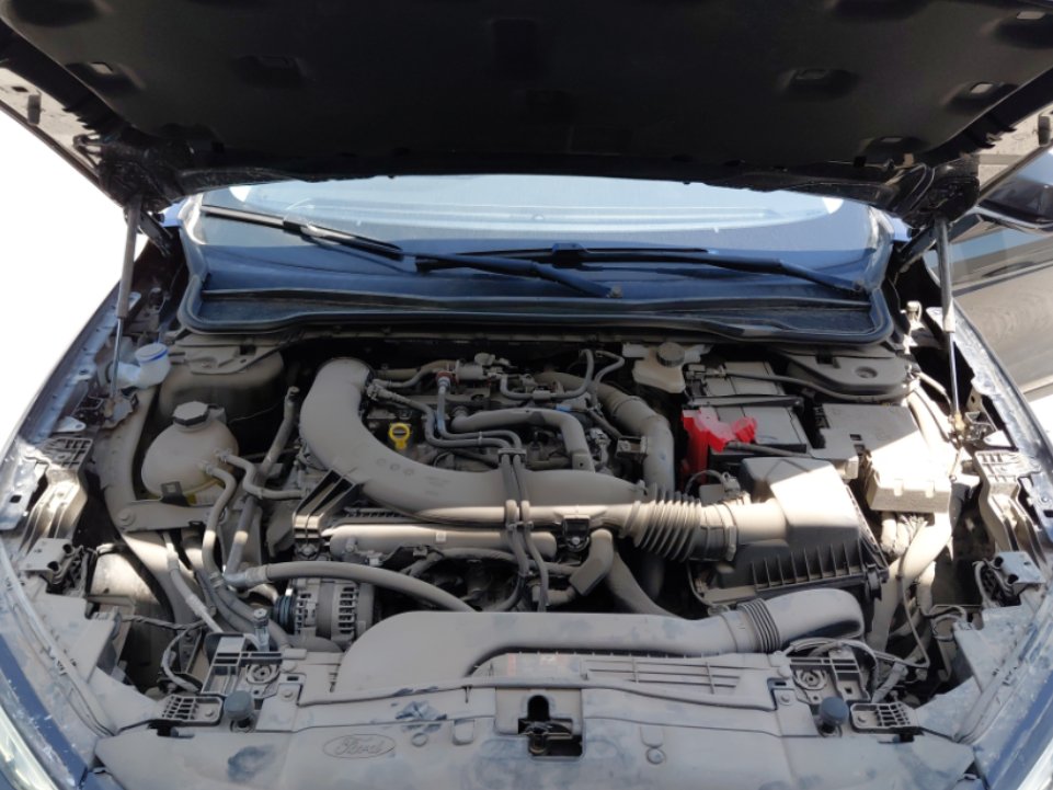 فورد توروس Ambiente 2024 image