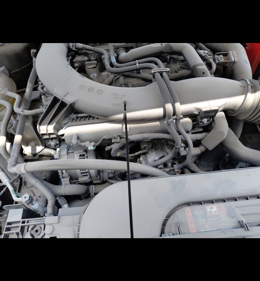 فورد توروس Ambiente 2024 image