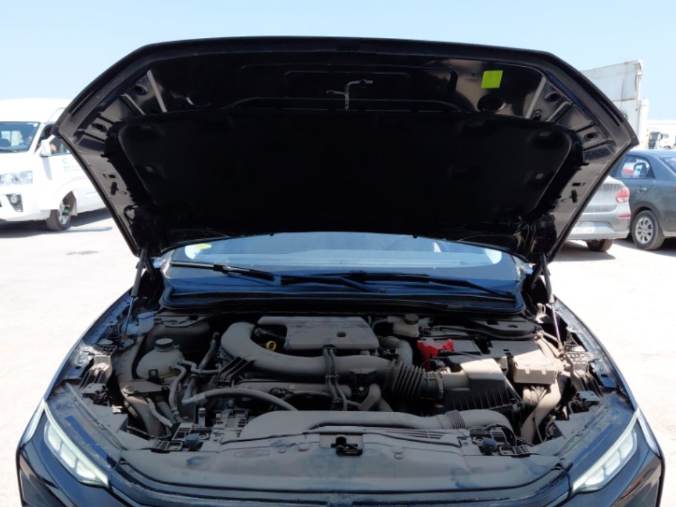 فورد توروس Ambiente 2024 image