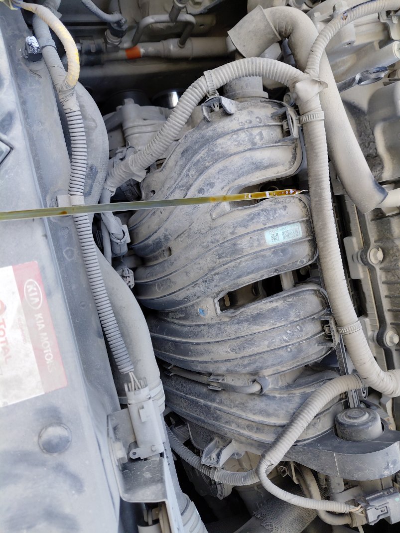 KIA Sportage QLE LX 4WD 2020 image