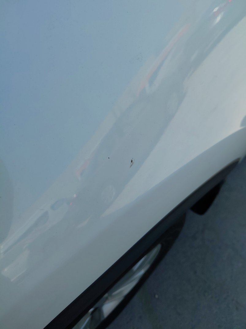 KIA Sportage QLE LX 4WD 2020 image