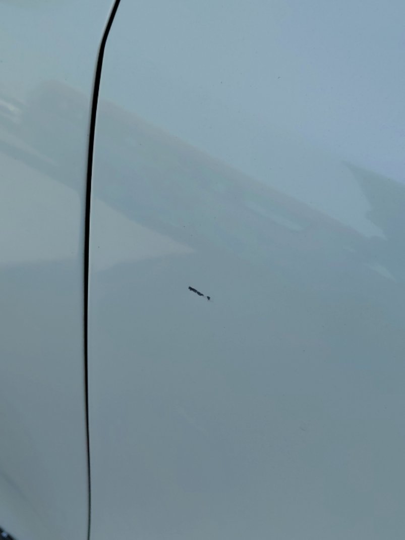 KIA Sportage QLE LX 4WD 2020 image