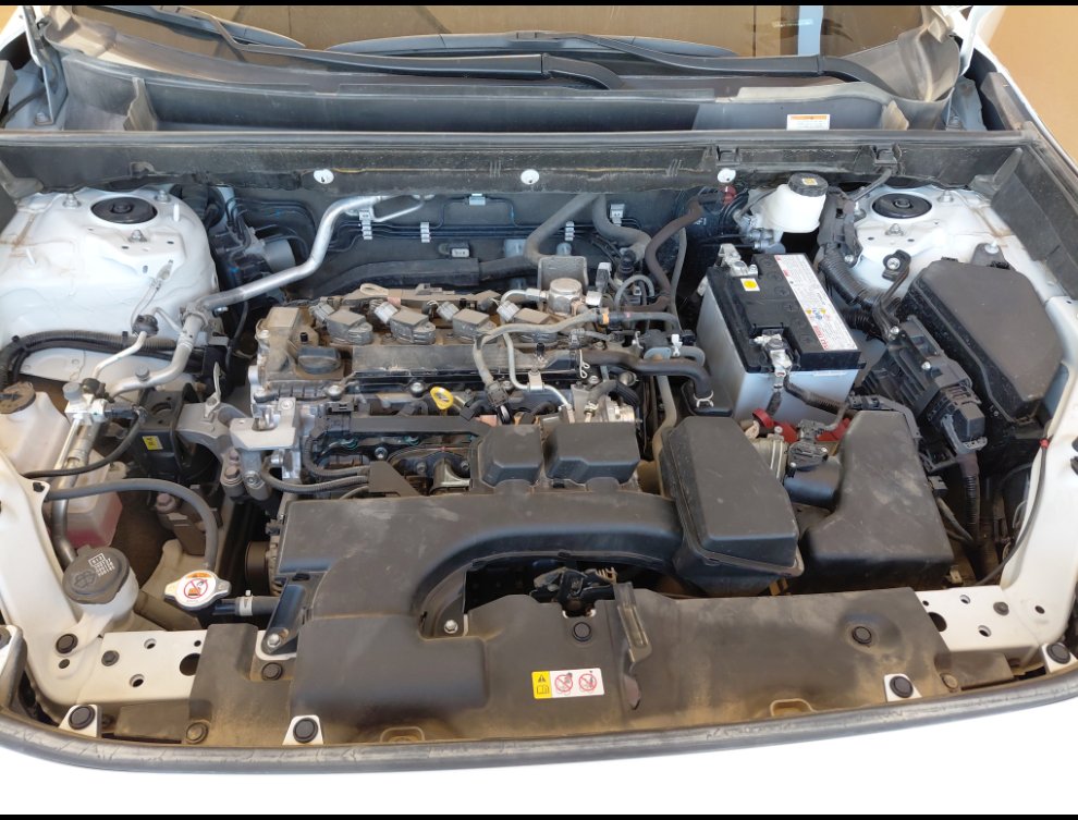 Toyota RAV4 LE SPORT 2024 image