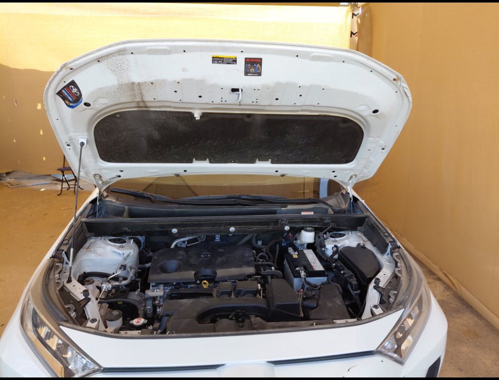 Toyota RAV4 LE SPORT 2024 image