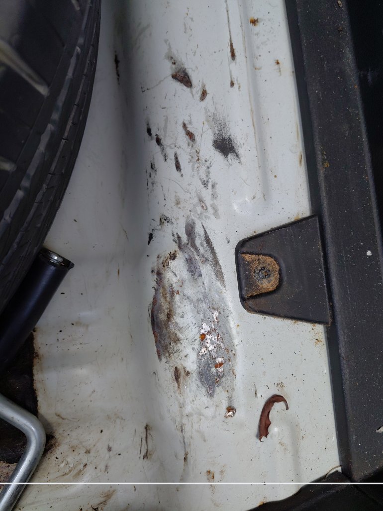 KIA Seltos LX FWD  2021 image