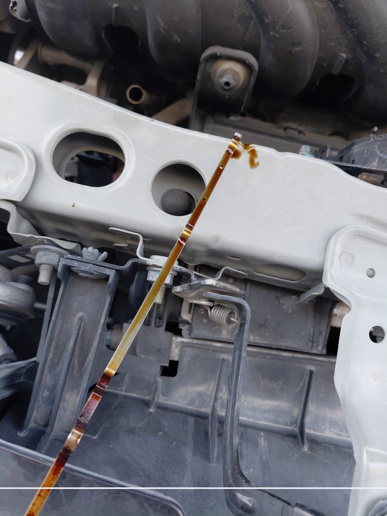 نيسان صني  2022 image