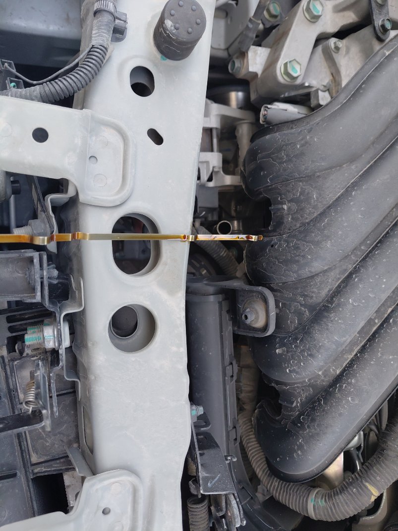 Nissan Sunny  2022 image