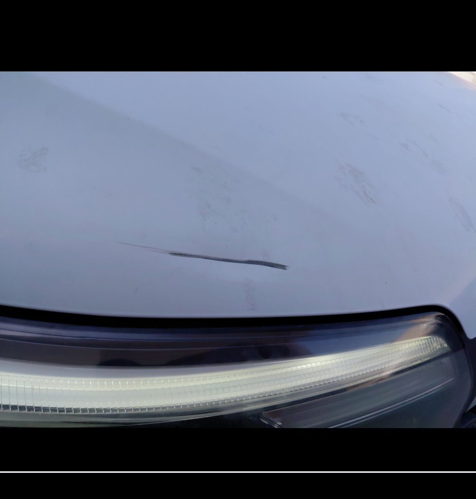 Renault Master  2021 image