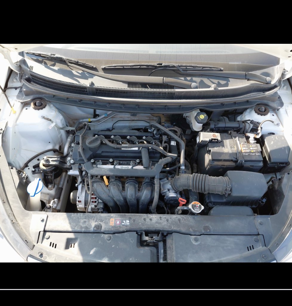 KIA Pegas GL 2024 image