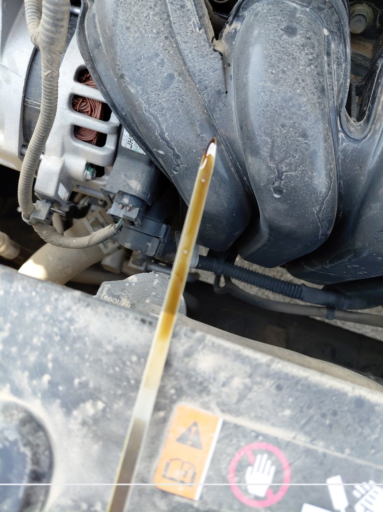 KIA Pegas GL 2024 image