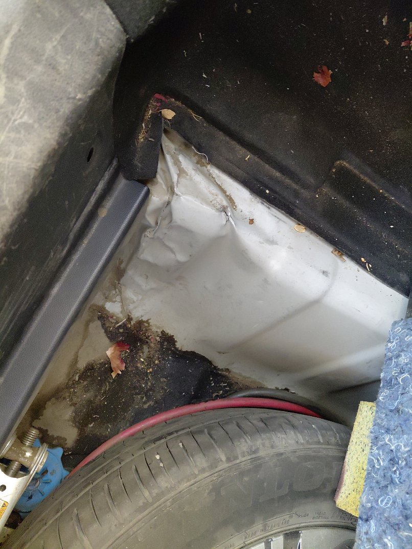 Toyota Yaris Y PLUS  2024 image