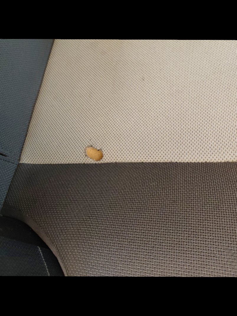 Toyota Corolla XLI 2021 image