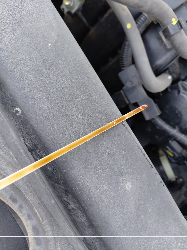 Toyota Corolla XLI  2023 image