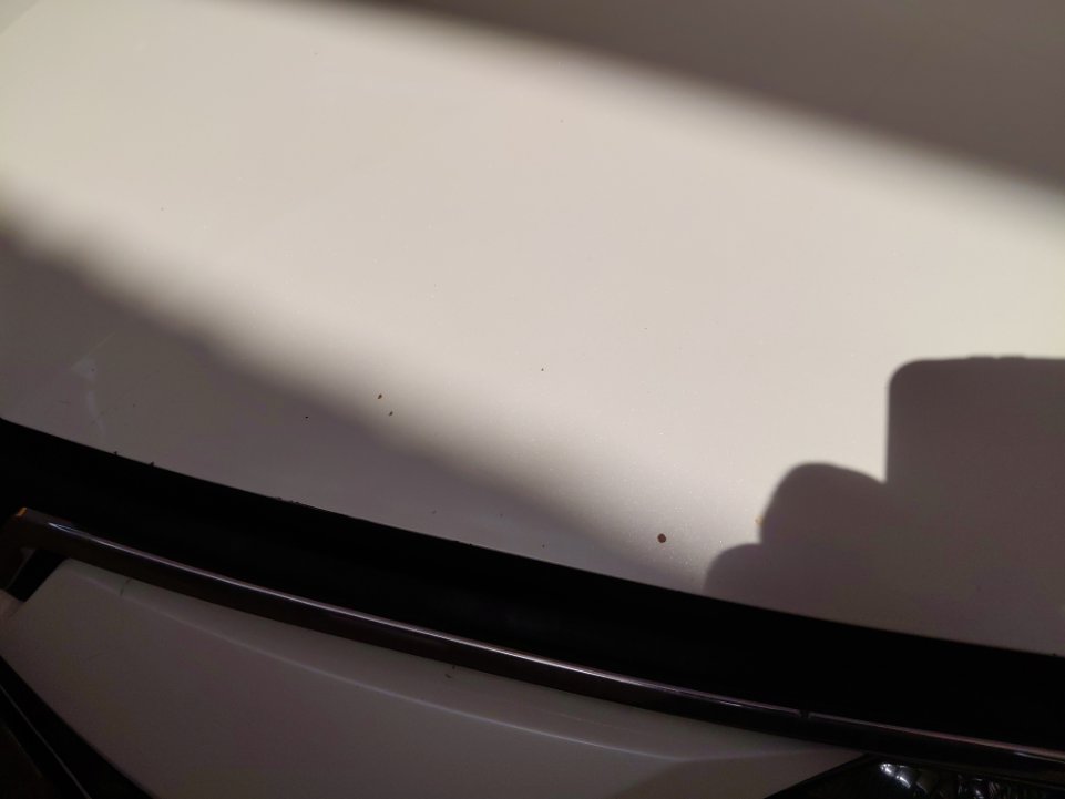 Toyota Corolla XLI 2021 image