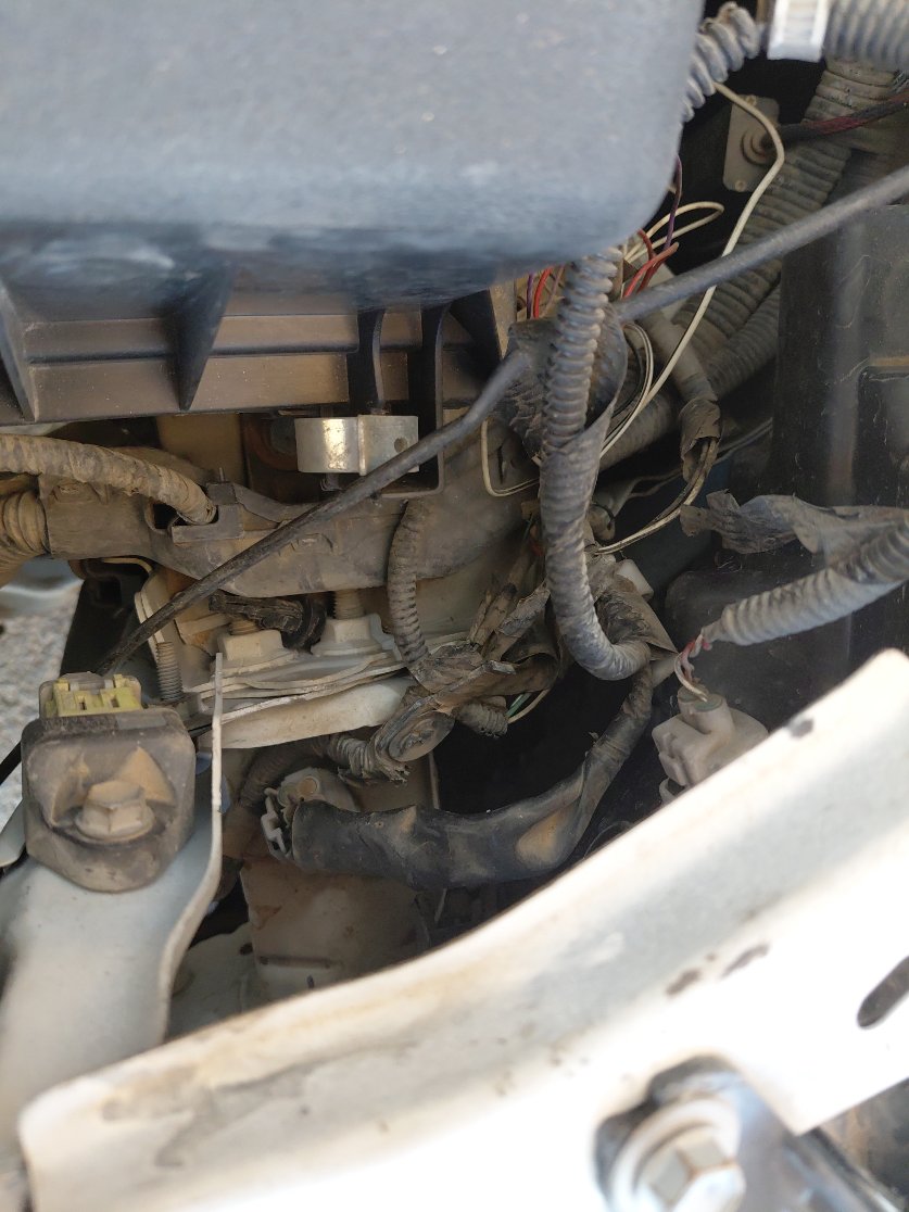 Toyota Corolla XLI EXECUTIVE M/R  2020 image