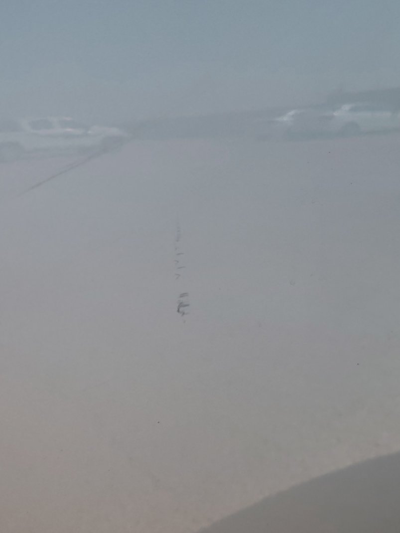 Suzuki DZIRE GL  2024 image