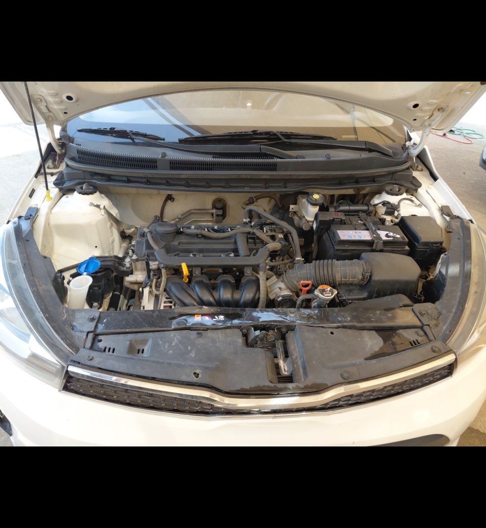 KIA Pegas FLEET  2021 image