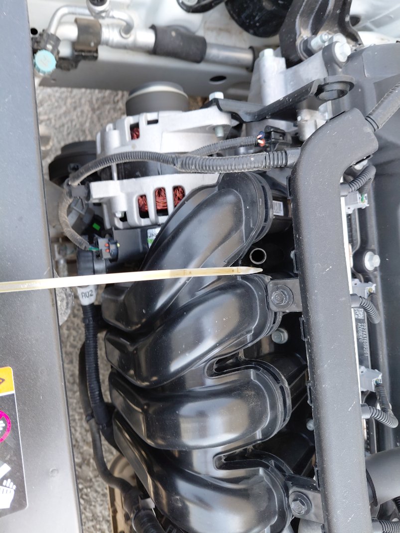 KIA Pegas GL 2024 image