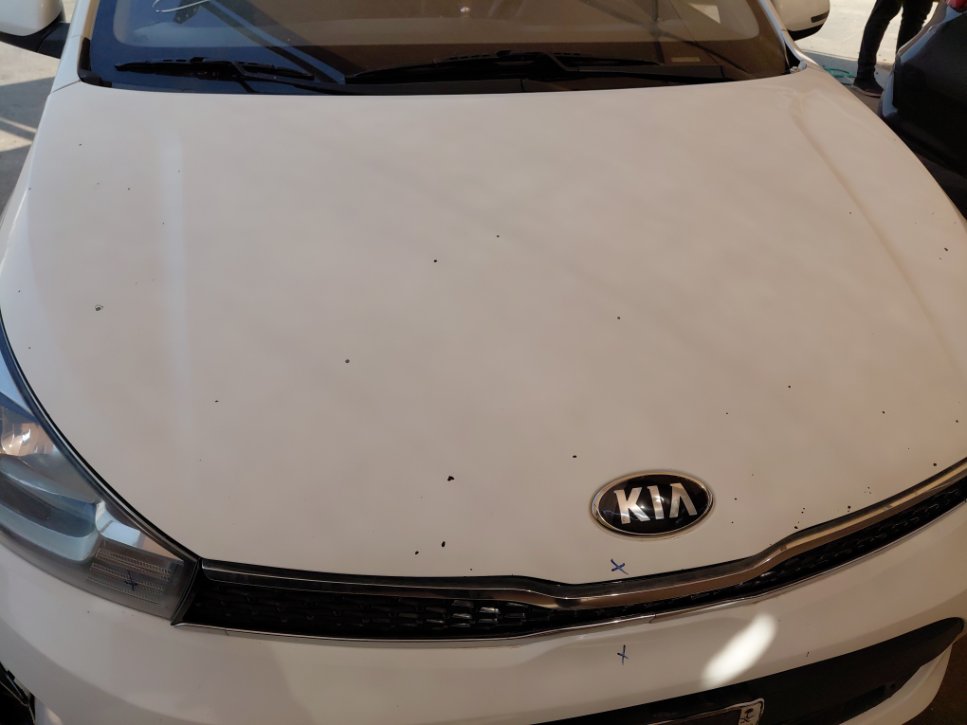 KIA Pegas FLEET  2021 image