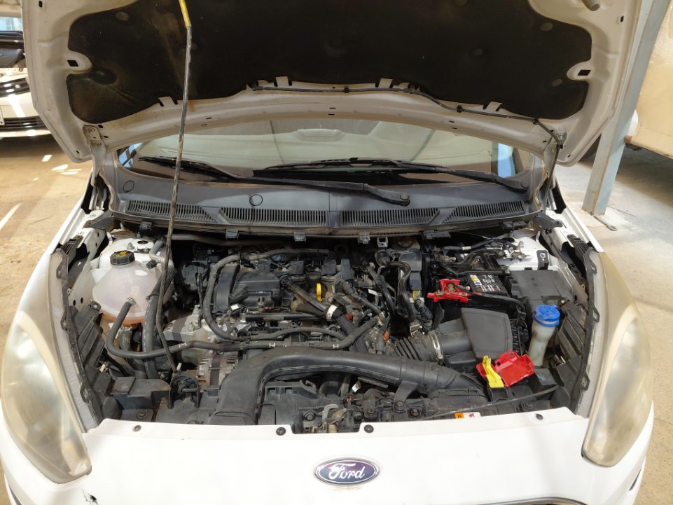 Ford Figo S 2019 image