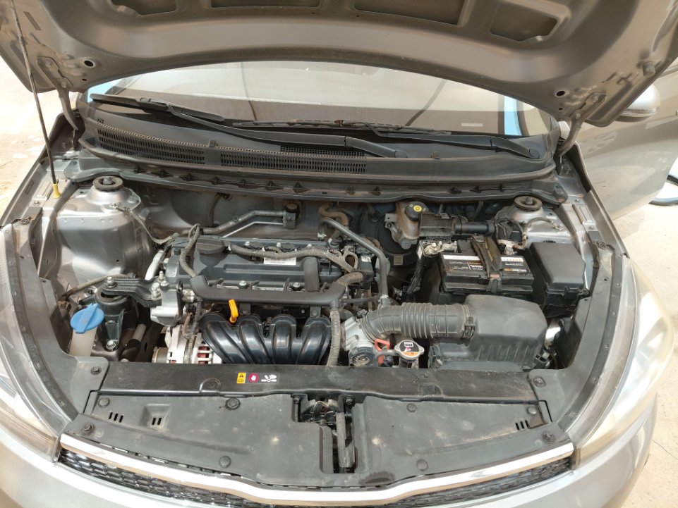 KIA Pegas FLEET  2022 image