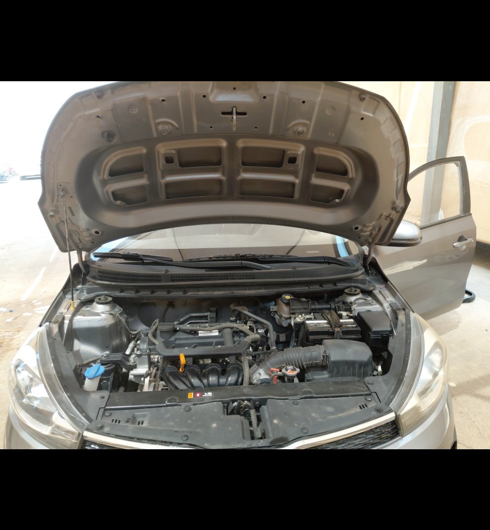 KIA Pegas FLEET  2022 image