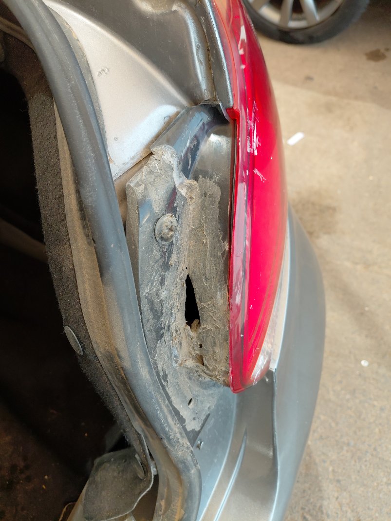 KIA Pegas FLEET  2022 image