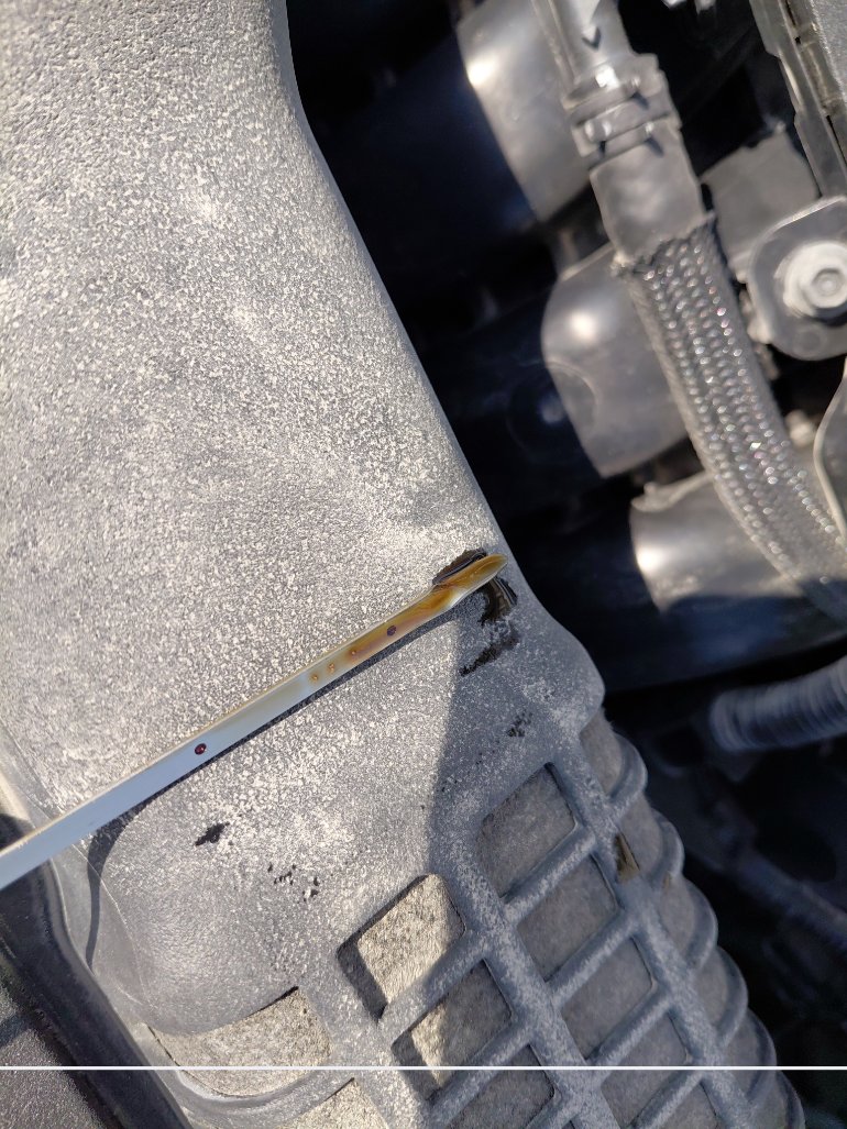 Toyota Corolla GLI M/R  2022 image