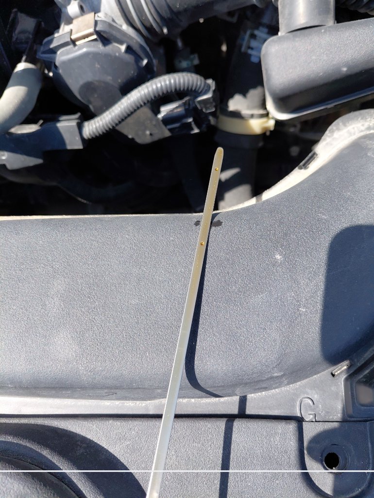 Toyota Corolla XLI 2021 image