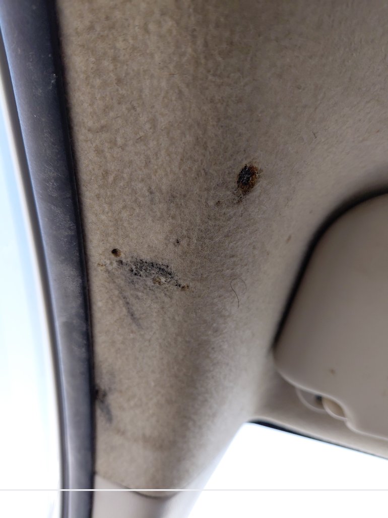 Toyota Corolla XLI 2021 image