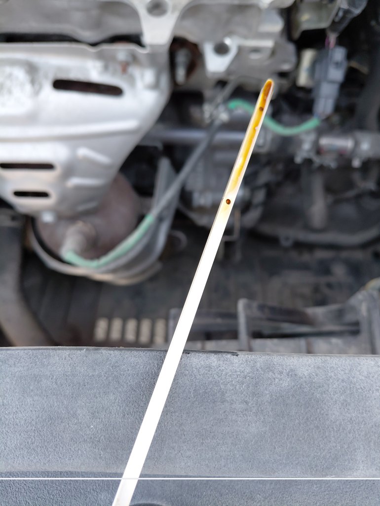 Toyota Yaris Y PLUS 2023 image