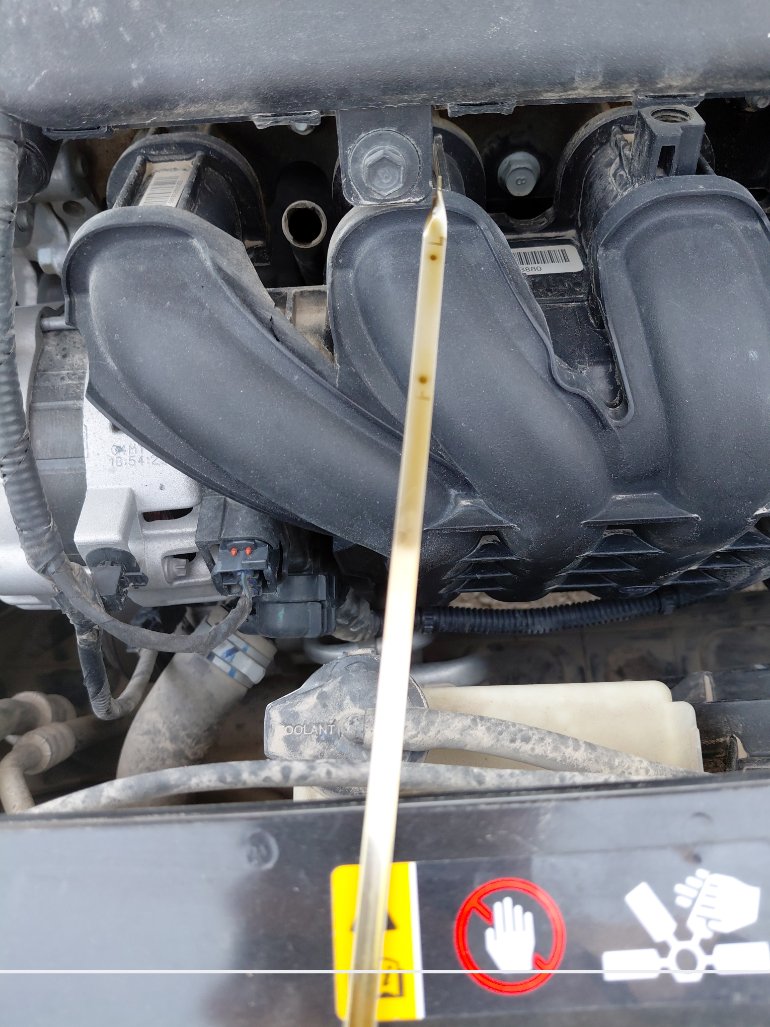 هيونداي أكسنت FLEET  2019 image