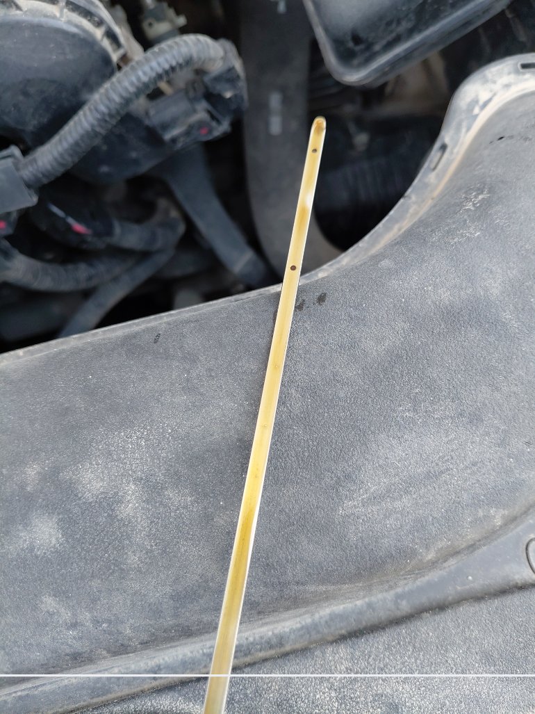 Toyota Corolla XLI 2024 image