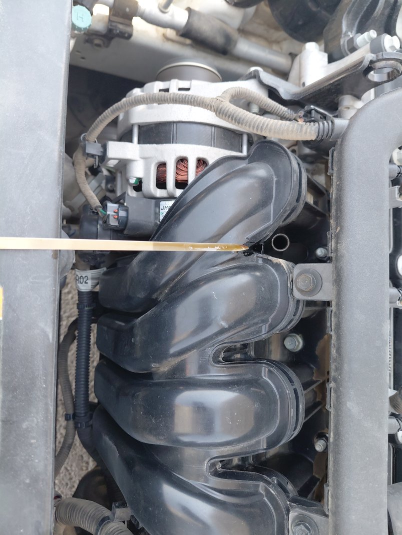 KIA Pegas LX 2023 image