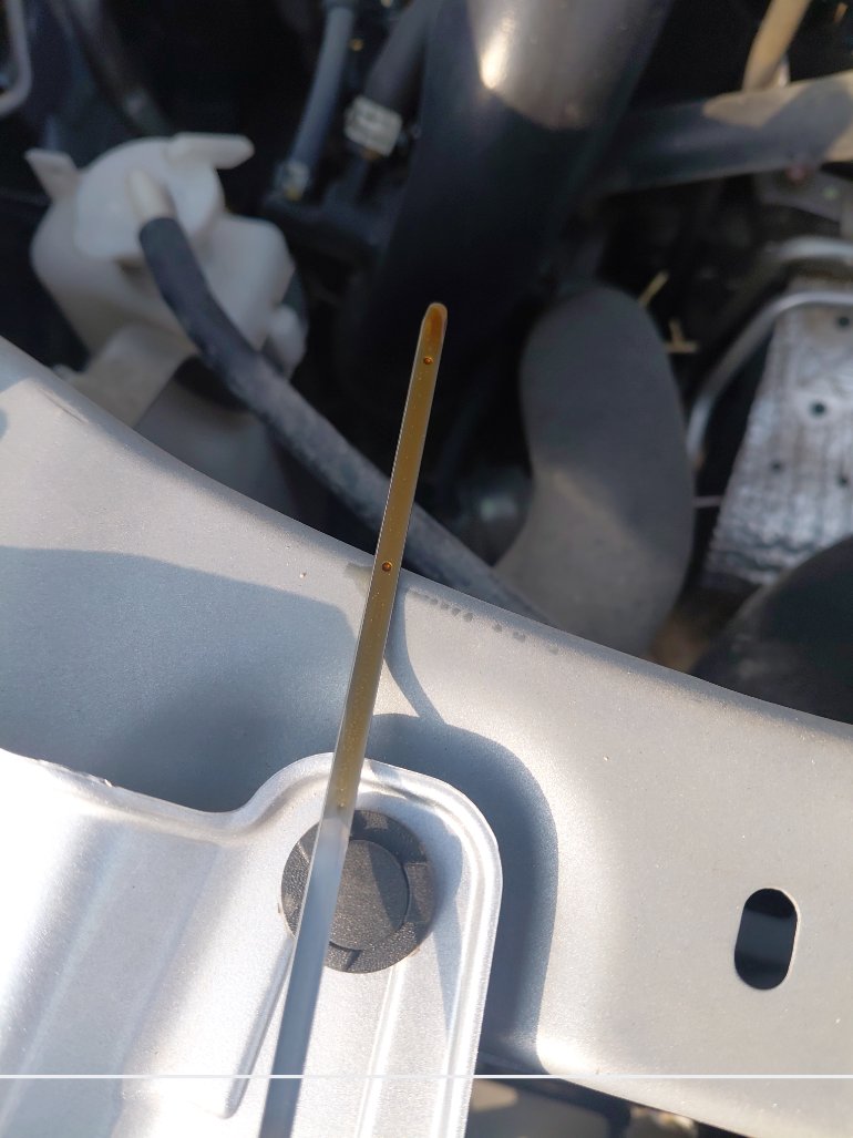 Toyota RAIZE LIMITED 2023 image